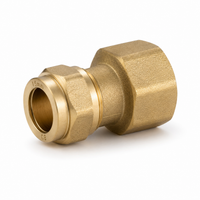 Straight Connector FI