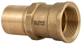 Premium Endfeed to Female Iron (FI) Straight Connector (15mm - 54mm)