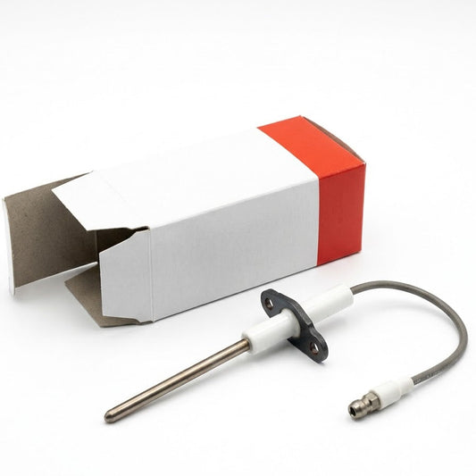 Biasi Original Detection Electrode BI1663113