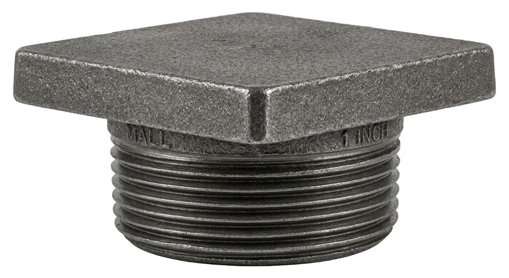 Premium Malleable Iron Flanged Plug