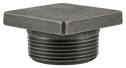 Premium Malleable Iron Flanged Plug