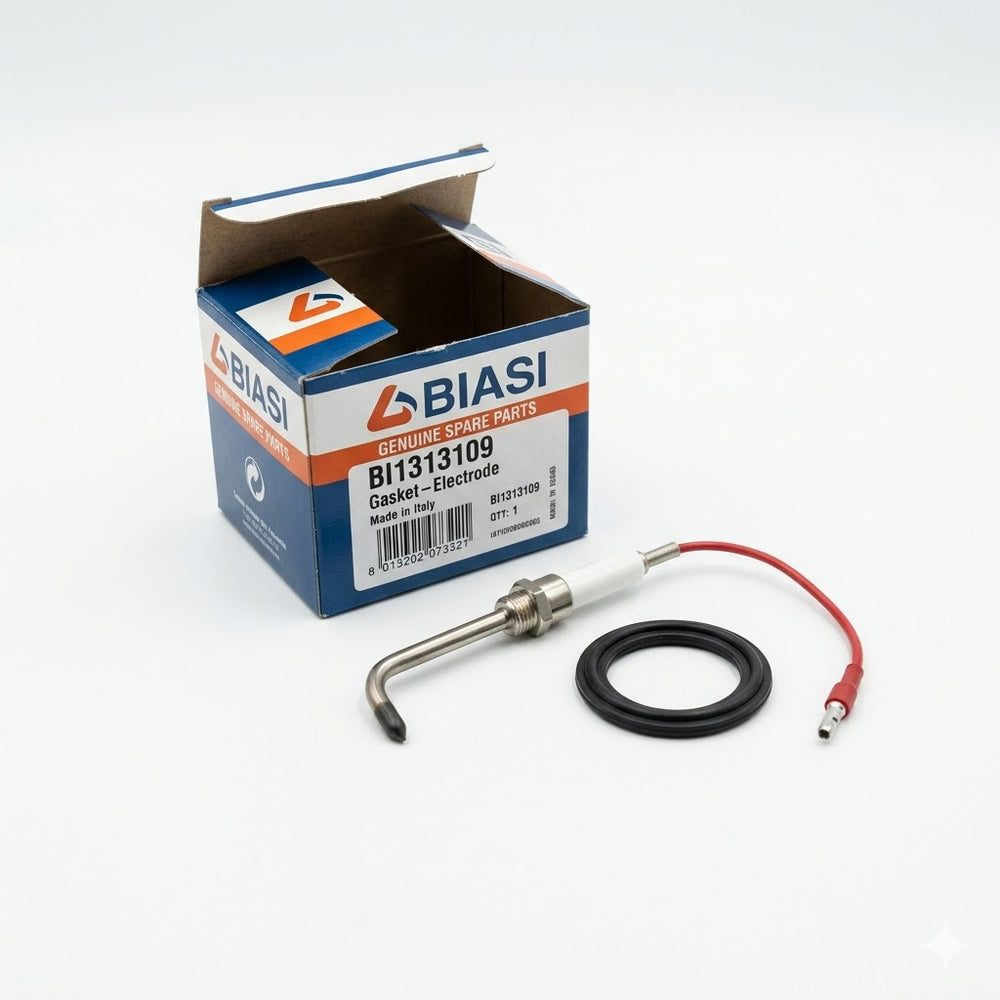 Genuine Biasi BI1313109 Electrode & Gasket