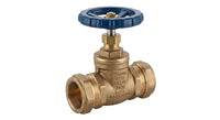 Premium Brass Gate Type Pump Valve (22mm & 28mm)