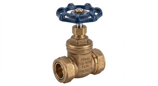 Premium Brass Gate Type Pump Valve (22mm & 28mm)