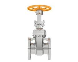 Premium BS Standard Gate Valve